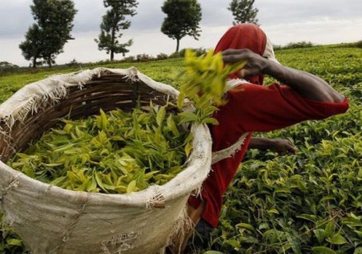 Aga Khan’s Sh7bn project to generate new 5,000 jobs | The Citizen Tanzania