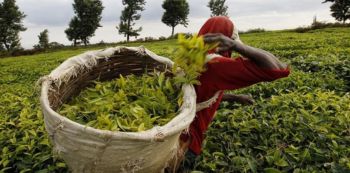 Aga Khan’s Sh7bn project to generate new 5,000 jobs | The Citizen Tanzania