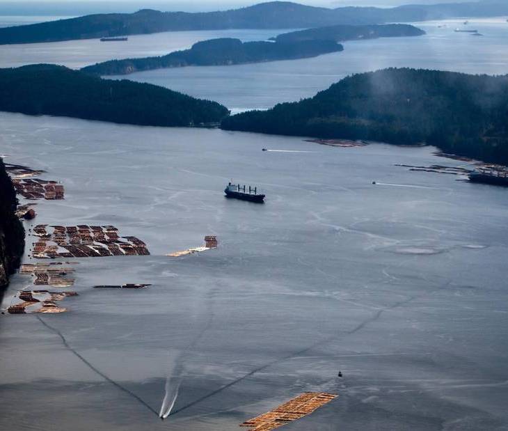 Co-author Mossadiq Umedaly: B.C.'s failure to commit to renewables costs province its climate leader spot