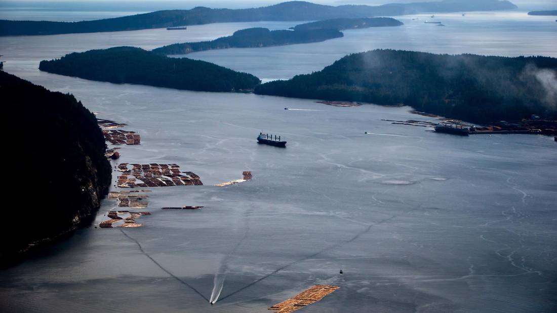 Co-author Mossadiq Umedaly: B.C.'s failure to commit to renewables costs province its climate leader spot