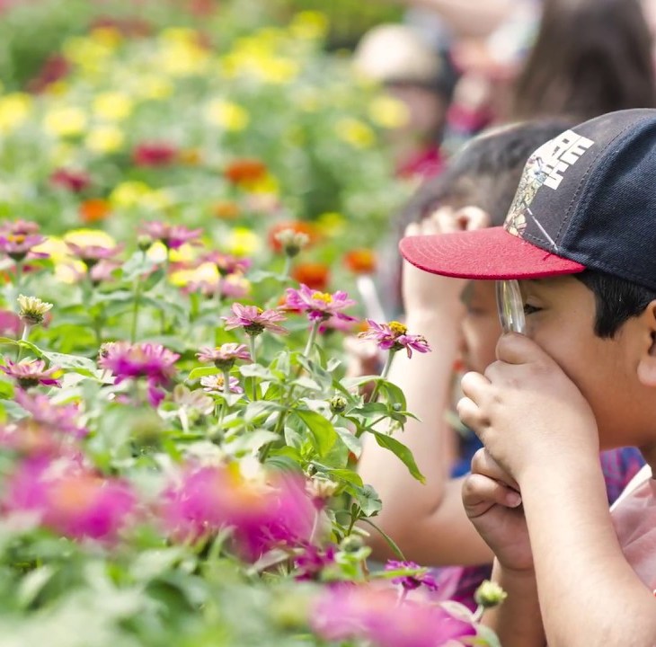 Educational Programming: Aga Khan Garden at the University of Alberta Botanic Garden