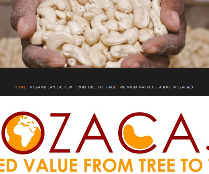 From tree to trade: Cashews in Mozambique