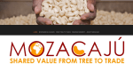 From tree to trade: Cashews in Mozambique