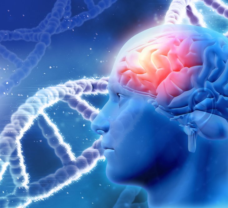 Fahar and Rosemina Merchant's Medicenna targets brain cancer with molecular Trojan horse