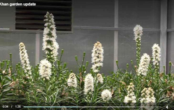 Construction Update: Aga Khan Garden Alberta