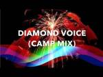 New Song Release - Diamond Voice (Camp Mix) - by Kamal Haji, featuring Sarah Haji, Shariq Lalani and the Ismaili Children's Choir