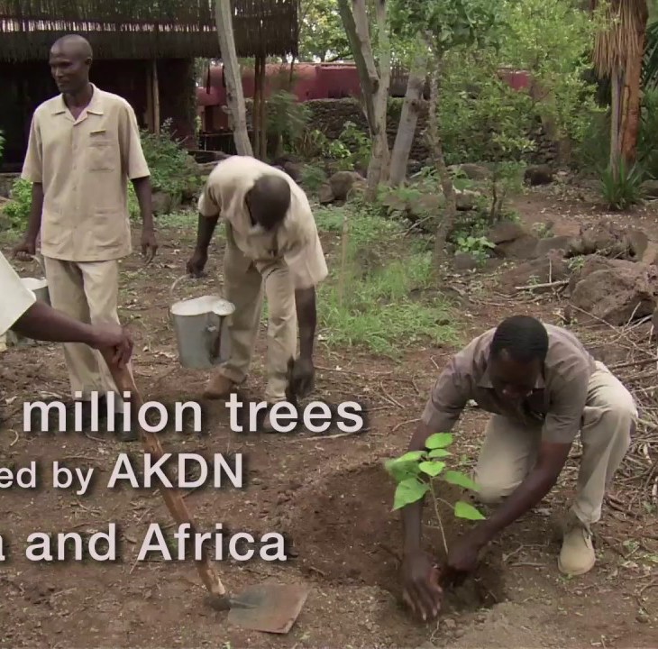 AKDN's impact in numbers.