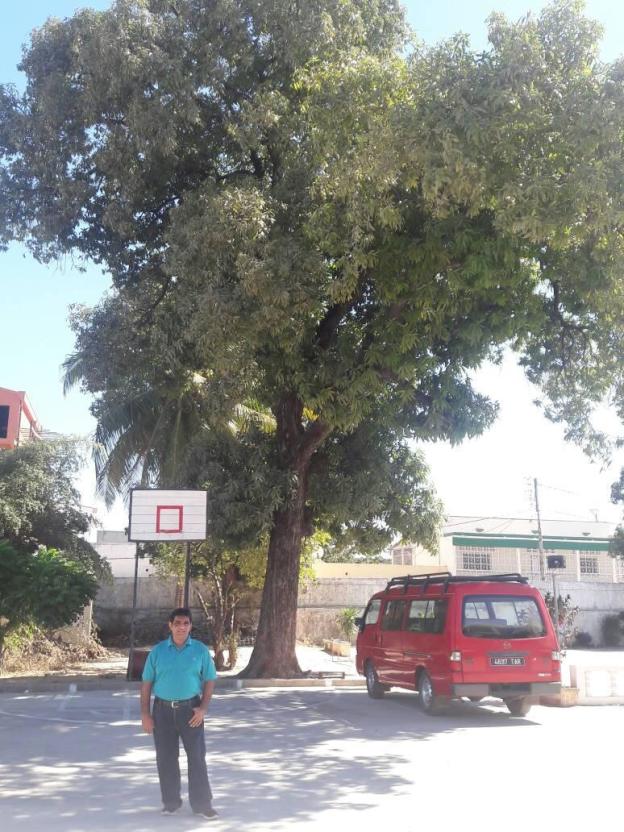 Kamrudin A Rashid: Historical Jamatkhana in Majunga, Madagascar