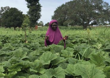 Technology for Social Good - myAgro seeds a mobile future