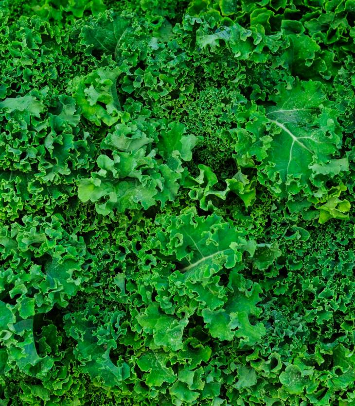 Here are some fruits and vegetables you should cook and those you should eat raw