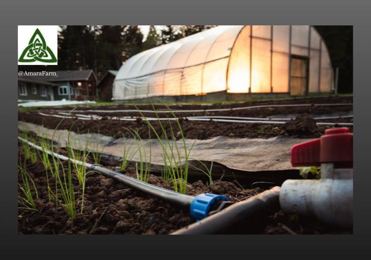 Farmer, Arzeena Hamir appointed on British Columbia Minister of Agriculture's Advisory Committee