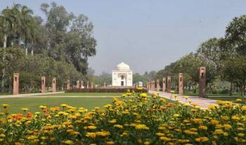 Sunder Nursery in full bloom | The Hindu