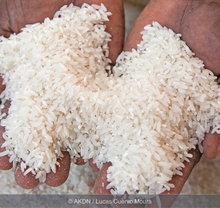 EU and Aga Khan Foundation Tanzania launch $2 million rice project