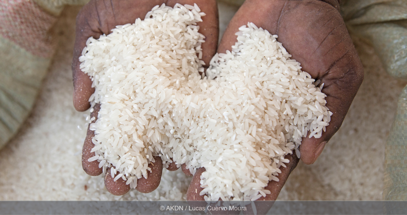 EU and Aga Khan Foundation Tanzania launch $2 million rice project