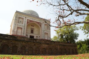 A Photo-Essay that takes a close look at the newly-renovated Sunder Nursery