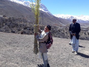 Hunza Serena Inn organizes plantation day at the Aga Khan Diamond Jubilee High School, Zoodkhoon in Chipursan Valley