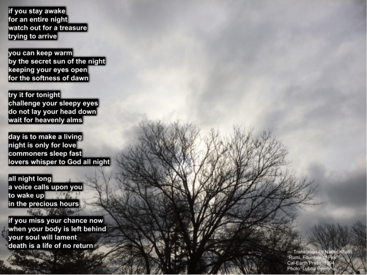 If you stay awake - Rumi