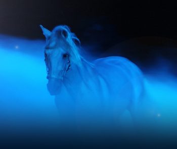 Mi‘raj: Spiritual Ascension of Prophet Muhammad in Ismaili Thought | Khayal Aly