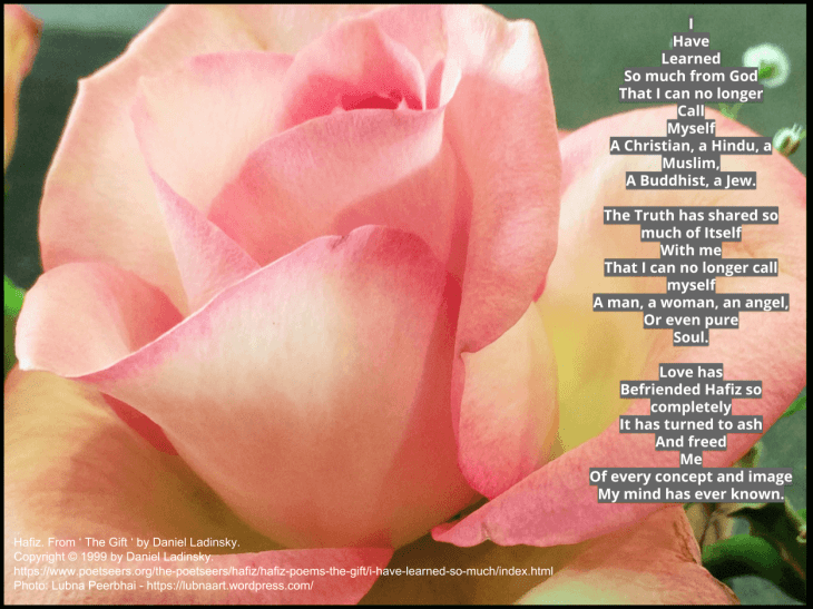 I have learned so much from God | Hafez