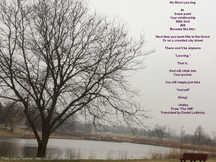 No more leaving | Hafiz