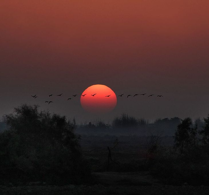 Historical Anecdote (Mukhi of Sakro, Sindh, Pakistan)