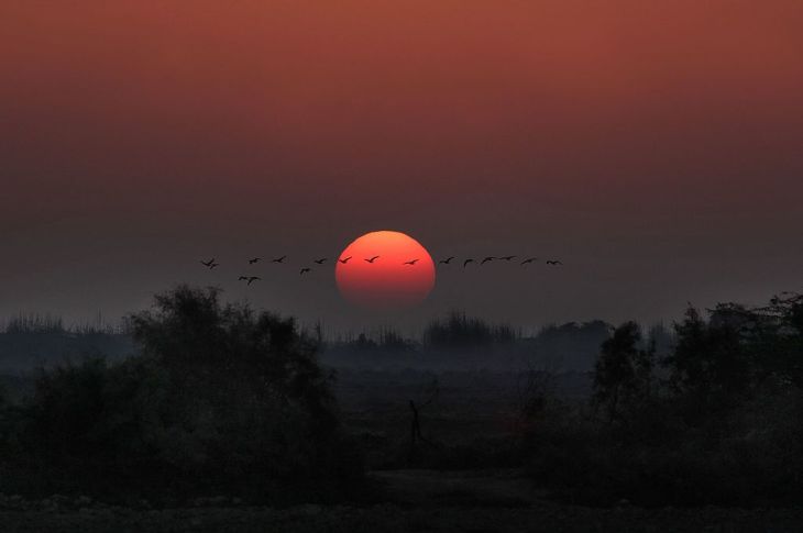 Historical Anecdote (Mukhi of Sakro, Sindh, Pakistan)