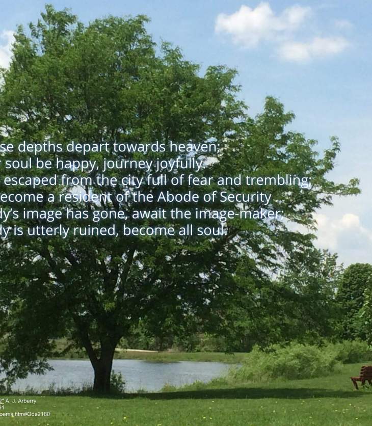 Abode of Security | Rumi