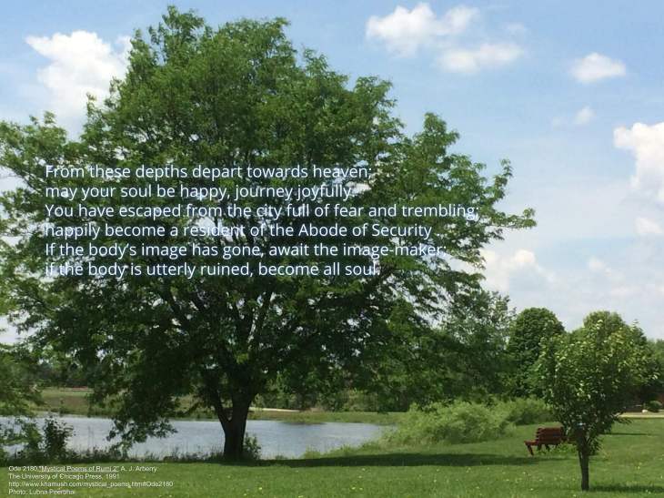 Abode of Security | Rumi