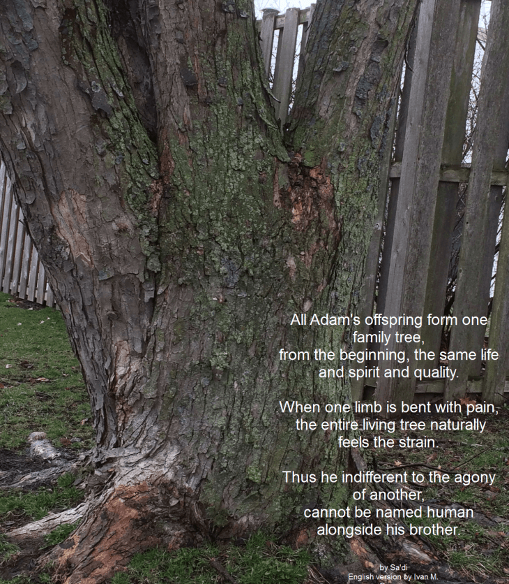 Alongside his brother | Sa'adi