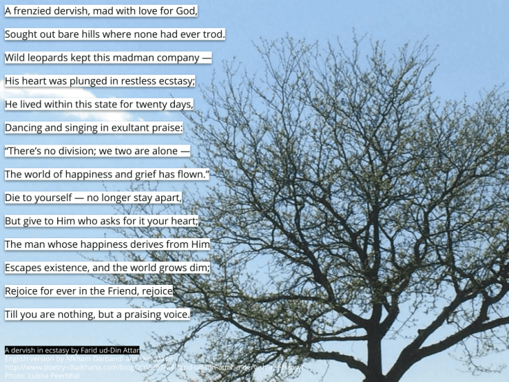 There’s no division | Attar