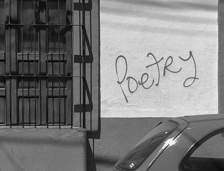 Poetry Is Making A Big Comeback In The U.S., Survey Results Reveal | NPR