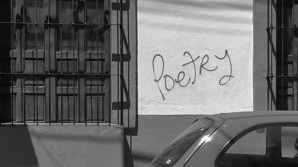 Poetry Is Making A Big Comeback In The U.S., Survey Results Reveal | NPR