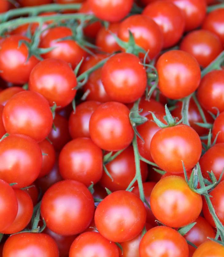 How a family of four can eat healthy on a budget of $200 a week  | Globalnews.ca