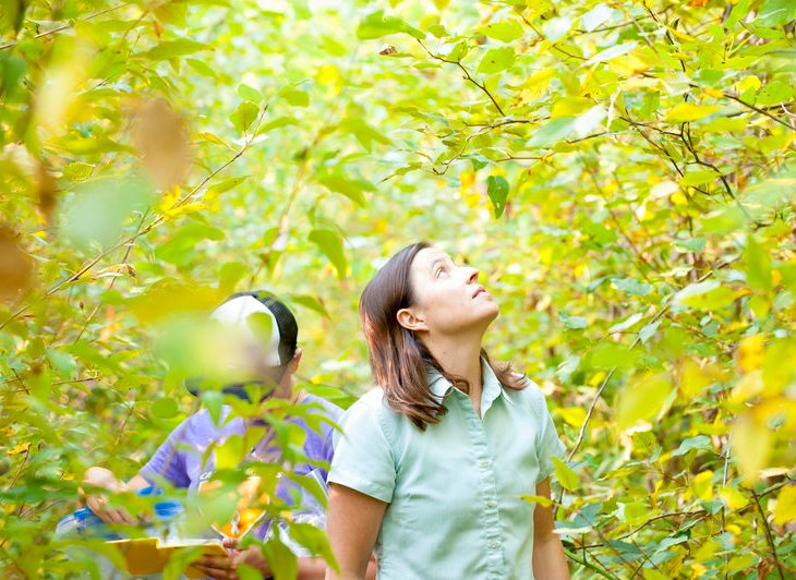 What Unites Us All? Like humans, plants have microbiomes, too