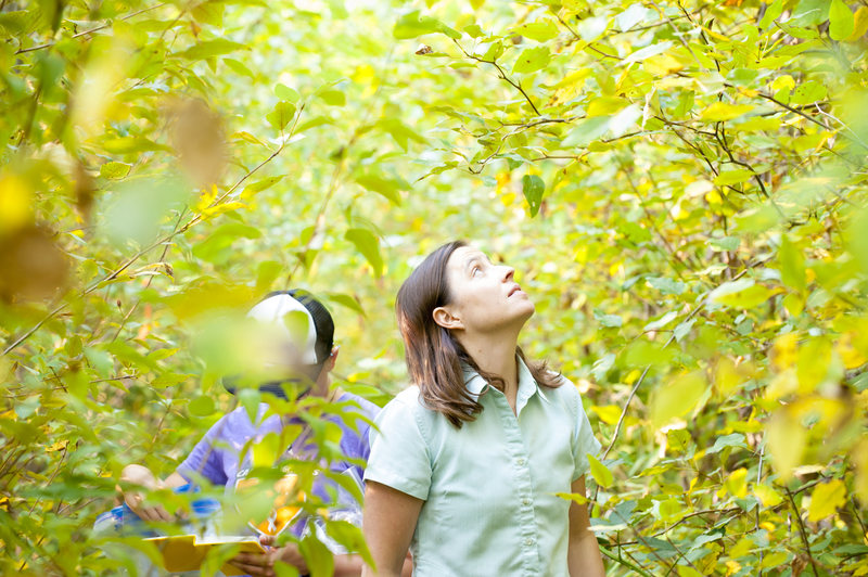 What Unites Us All? Like humans, plants have microbiomes, too