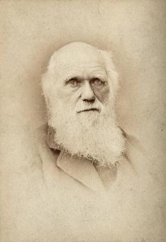 Drawing of Charles Darwin by Barraud (Wellcome Collection)