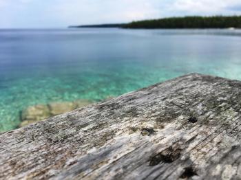 Anar Jessa wins first prize in photo contest