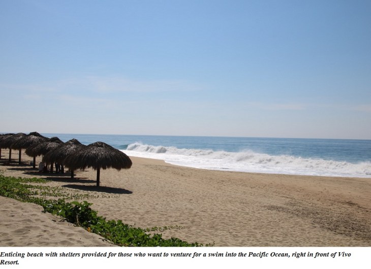 Vivo Resort1